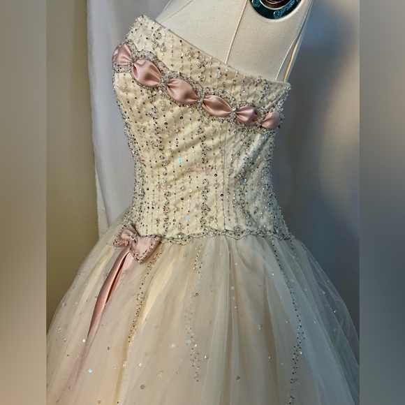 Gorgeous Mori Lee Madeline Gardner champagne & pink beaded tulle gown size 5/6 - Picture 3 of 8